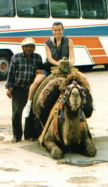 You Can Choose From 2 Forms of Transportation