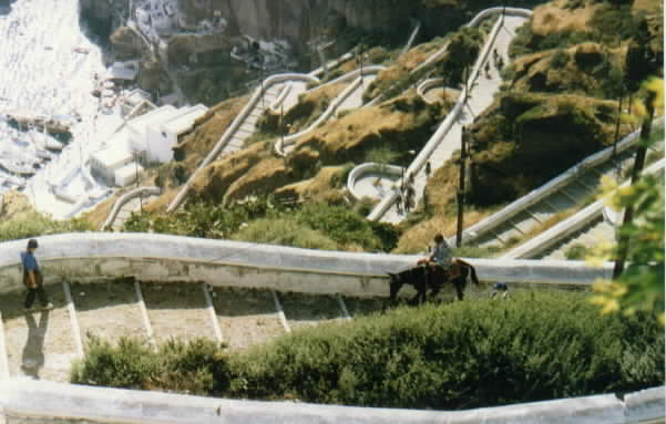 Run Your Ass Up The Donkey Rally!