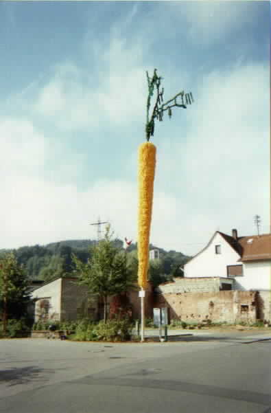 The 50+ Foot Kerwe Gelbe Rube (Carrot)