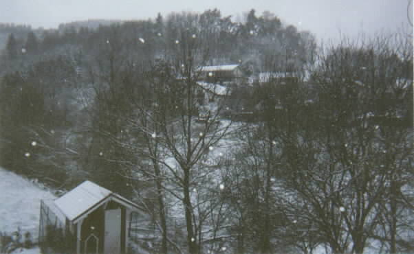 Hope The Easter Bunny Is A Snowshoe Rabbit!